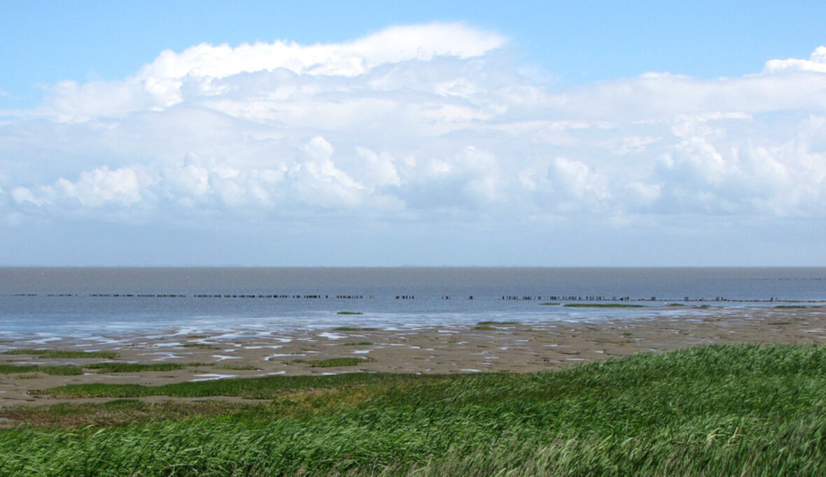 Borkum schreitet mit Dekarbonisierung voran