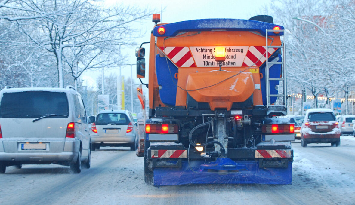 Streusalz wird zum Baumkiller Nummer Eins