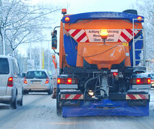 Streusalz wird zum Baumkiller Nummer Eins