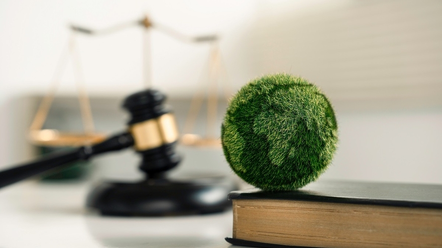 Gesetz_Erde_EU_Ball_Buch_Reporting