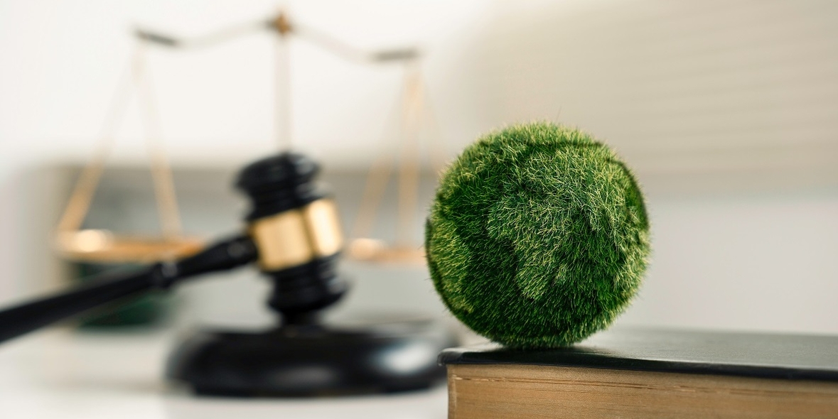 Umweltrecht in der Praxis: Zwischen behördlicher Allmacht und handwerklichen Defiziten