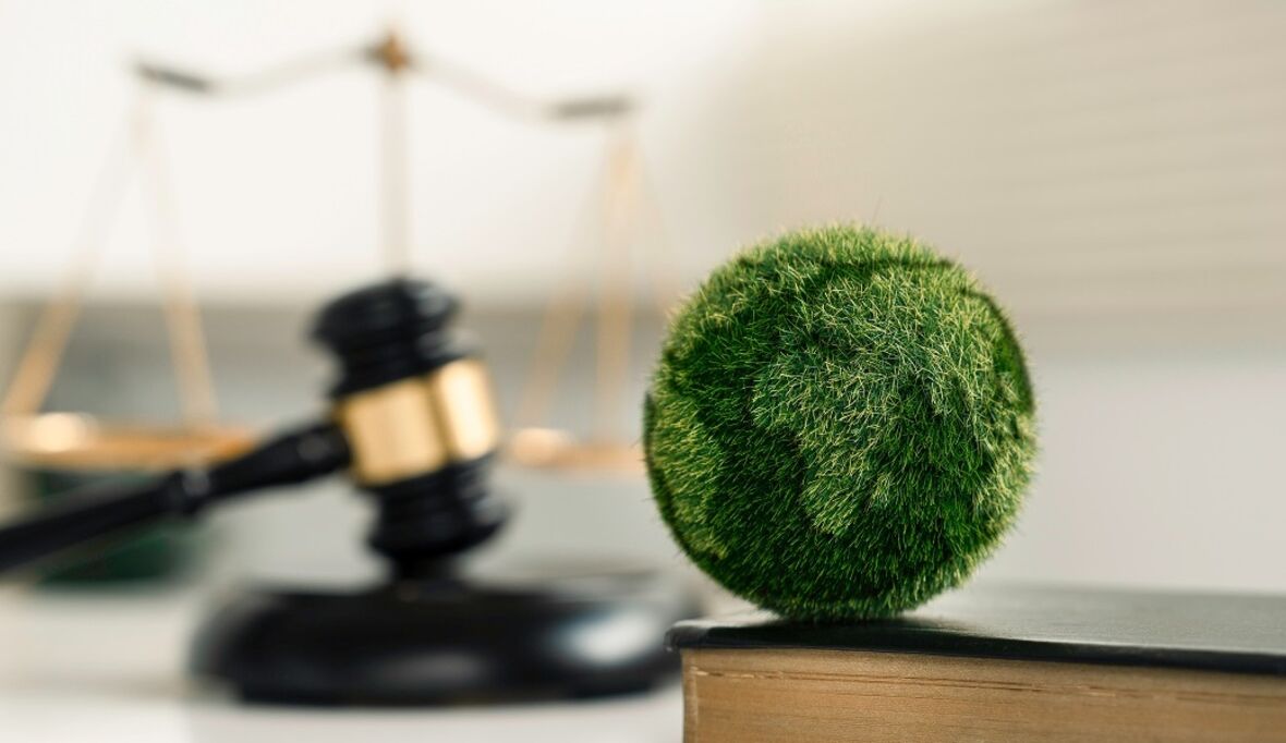 Austria Felix? Österreichs neues Nachhaltigkeitsgesetz in Kraft