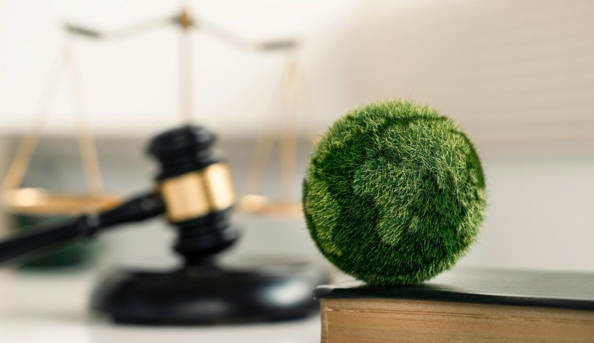 Umweltrecht in der Praxis: Zwischen behördlicher Allmacht und handwerklichen Defiziten