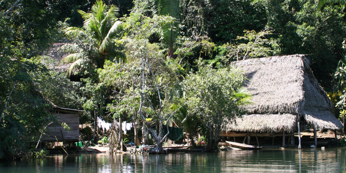 REDD+ Studie: Waldrechte von Ureinwohnern stärken