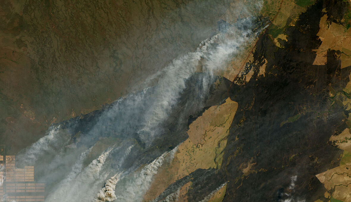 160 Millionen Dollar für indigene Waldwächter: Wie ein neues Finanzmodell den Amazonas retten soll