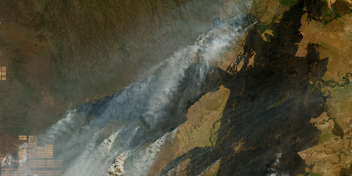 160 Millionen Dollar für indigene Waldwächter: Wie ein neues Finanzmodell den Amazonas retten soll