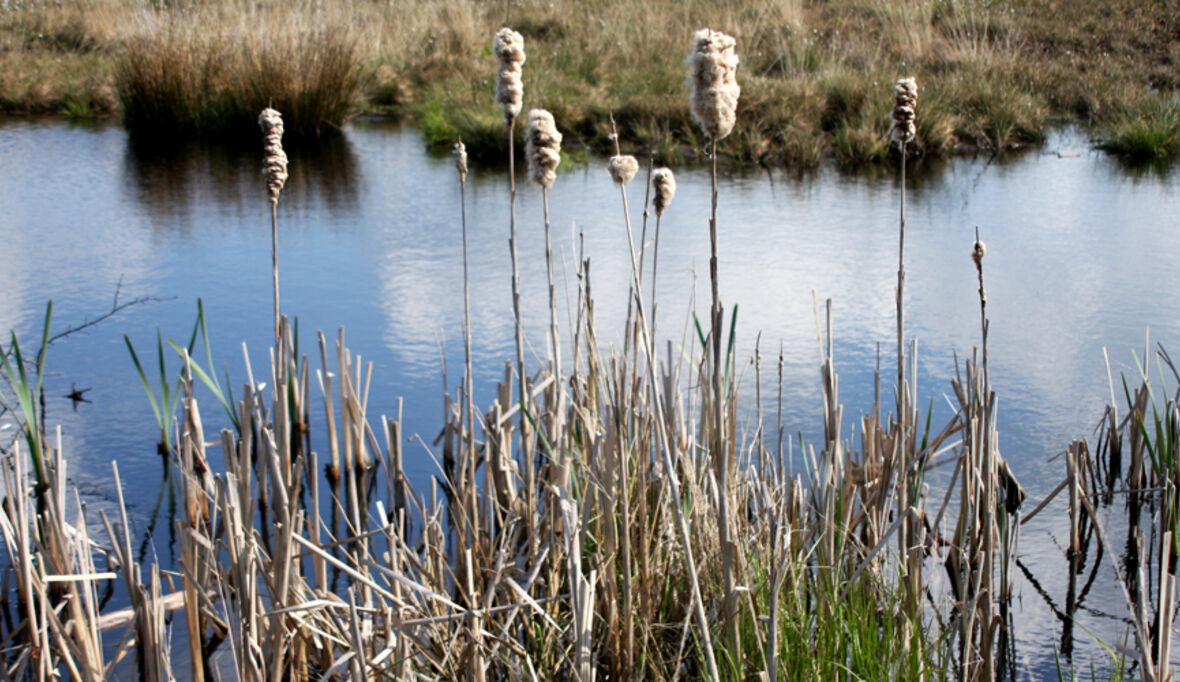 Jugendkampagne für Gewässerschutz