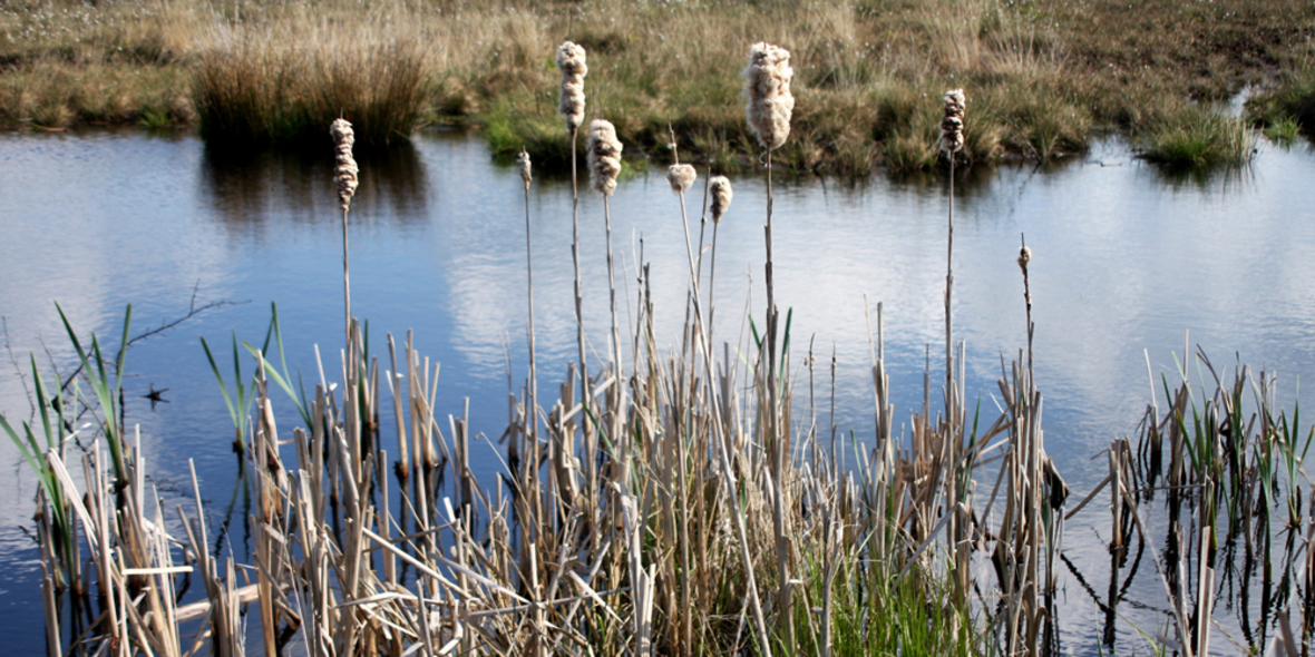 Neuer Bericht über den Wert des „Naturkapitals“