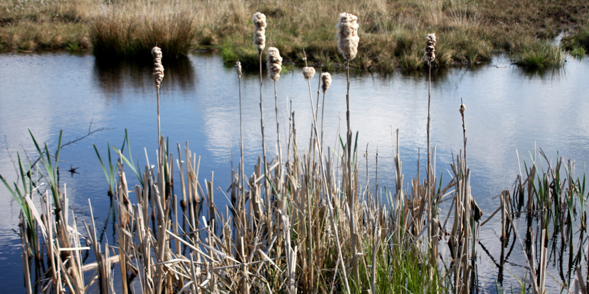 Jugendkampagne für Gewässerschutz