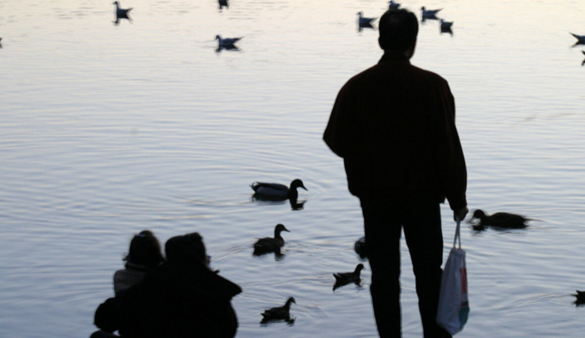 Der Zeitgeist ist grün - die Natur bleibt fremd