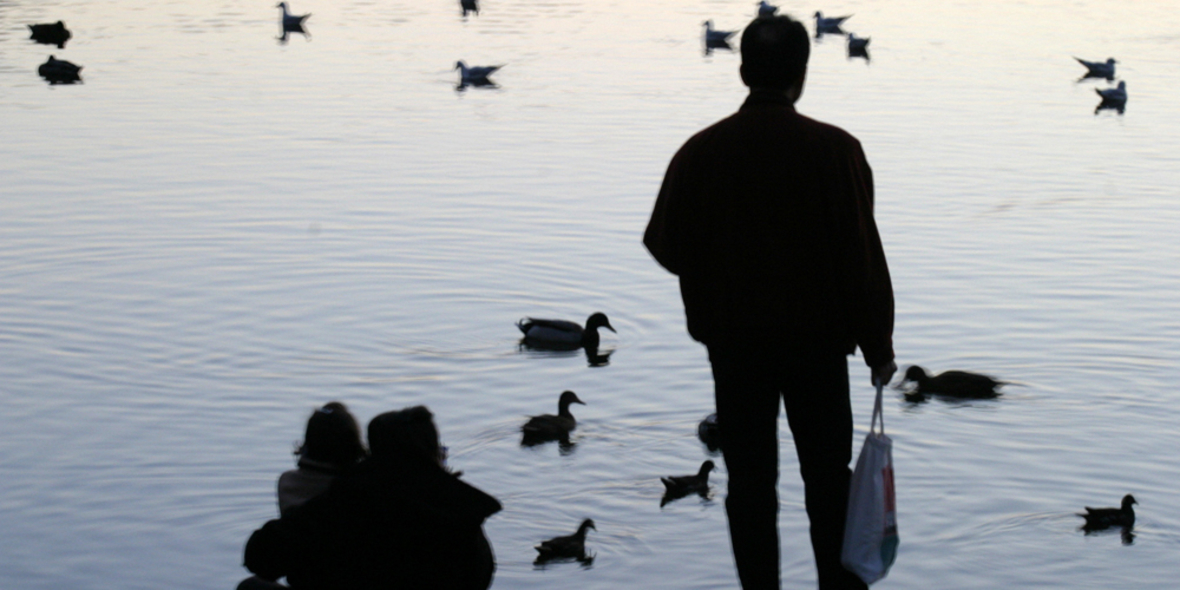 Der Zeitgeist ist grün - die Natur bleibt fremd