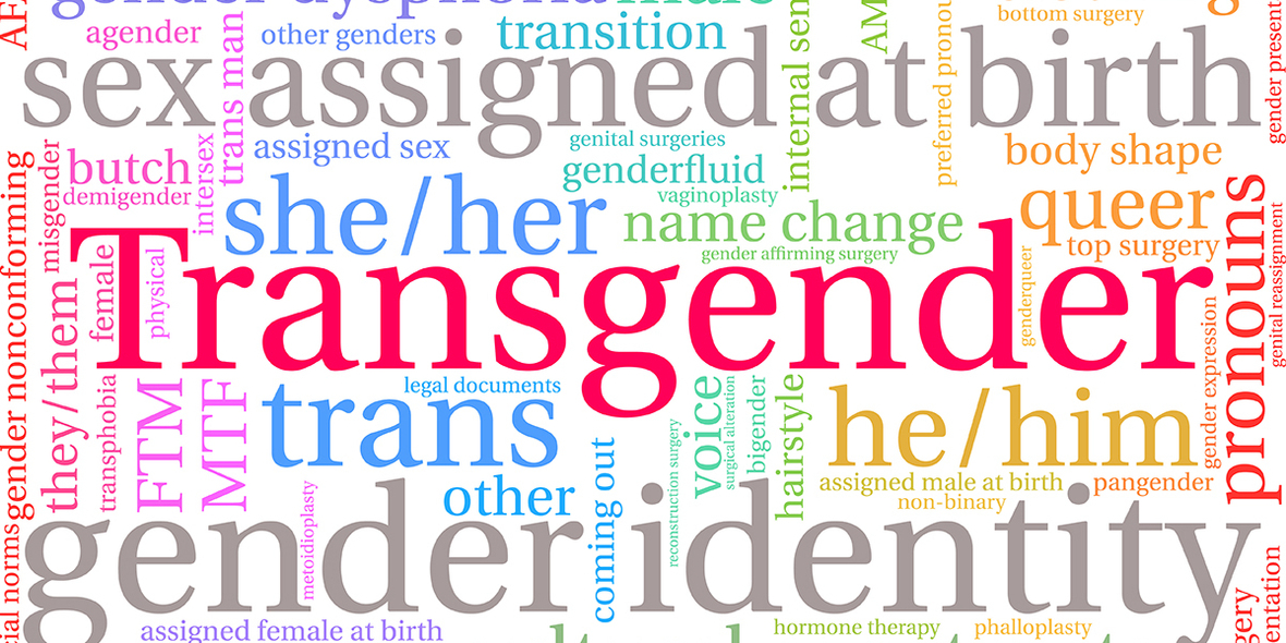 Rechte dominieren Transgender-Diskurs im Web