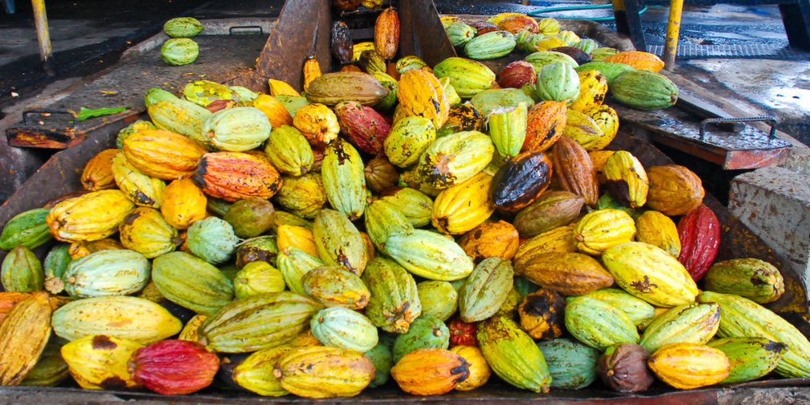 Aufbruchstimmung nutzen – Vertrauen weiter stärken 