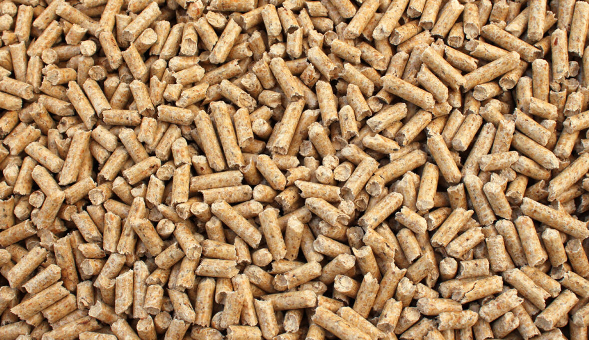 Biomasse-Betrug? Wie RWE Milliarden an Subventionen kassierte