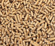 Biomasse-Betrug? Wie RWE Milliarden an Subventionen kassierte