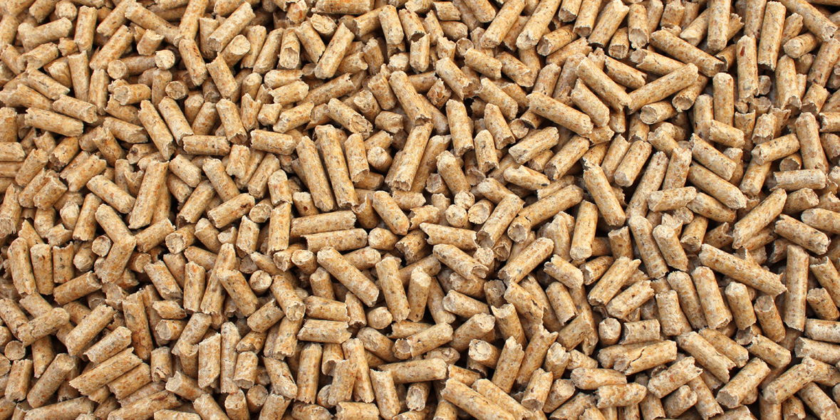 Biomasse-Betrug? Wie RWE Milliarden an Subventionen kassierte