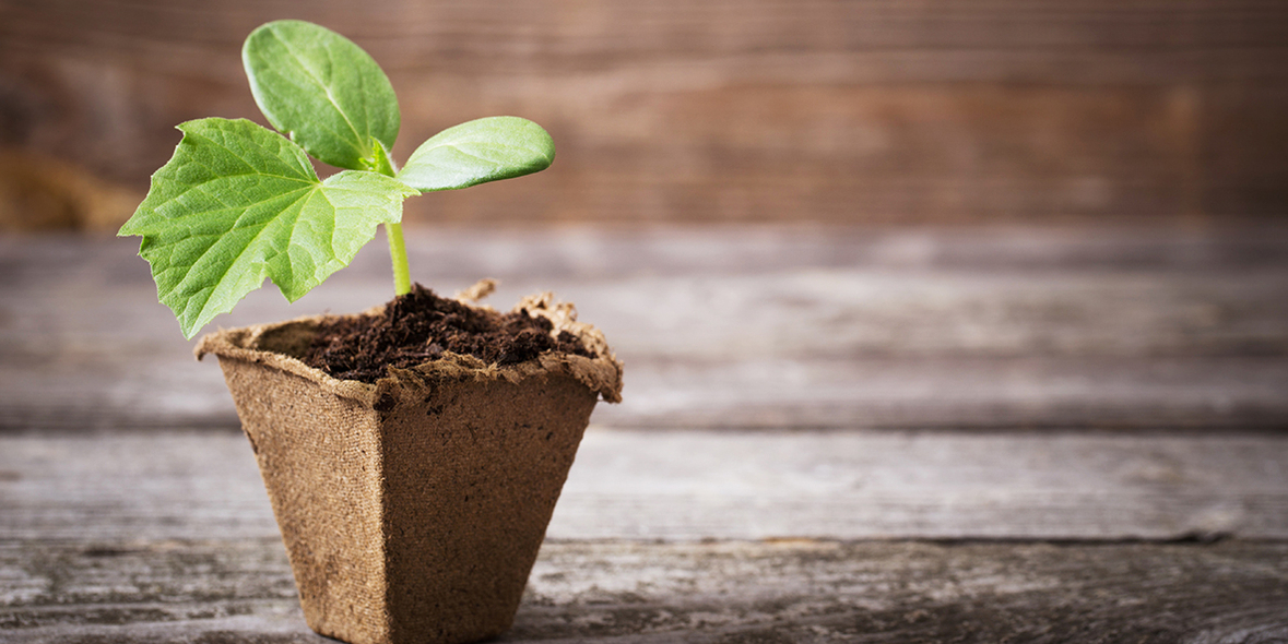 BUND-Einkaufsführer „Torffrei gärtnern“