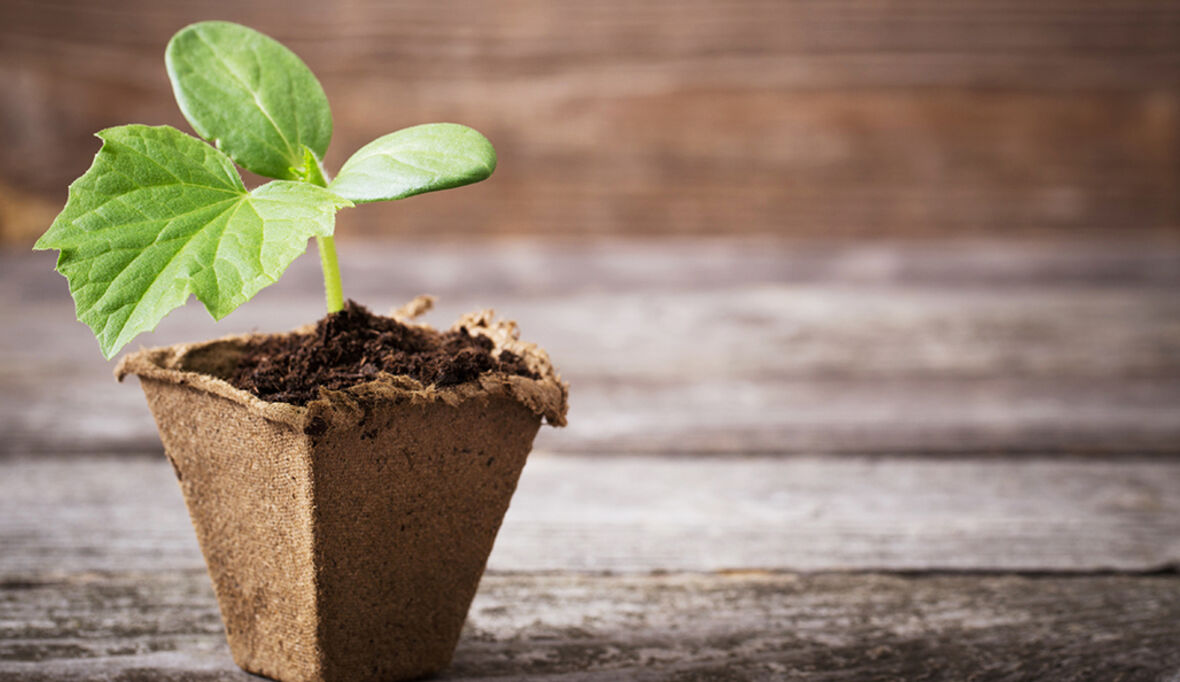 BUND-Einkaufsführer „Torffrei gärtnern“
