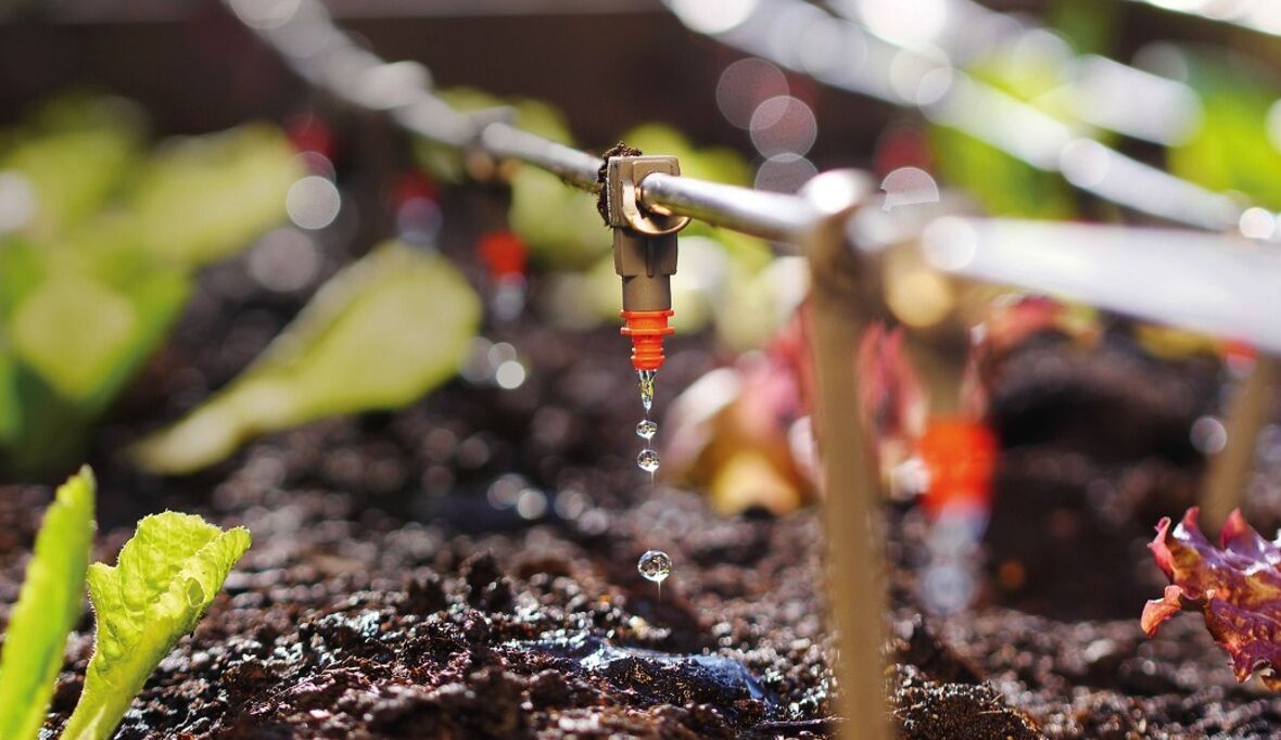 BUND fordert nachhaltige Bewässerung