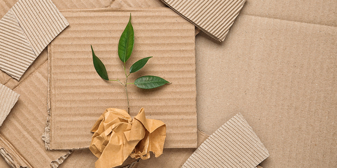 Wie nachhaltige Verpackungen auch optisch überzeugen können