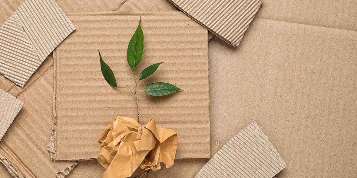 Umweltaspekte im E-Commerce – Ein ganzheitlicher Ansatz