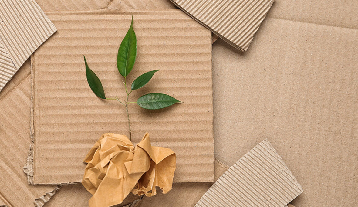 Wie nachhaltige Verpackungen auch optisch überzeugen können