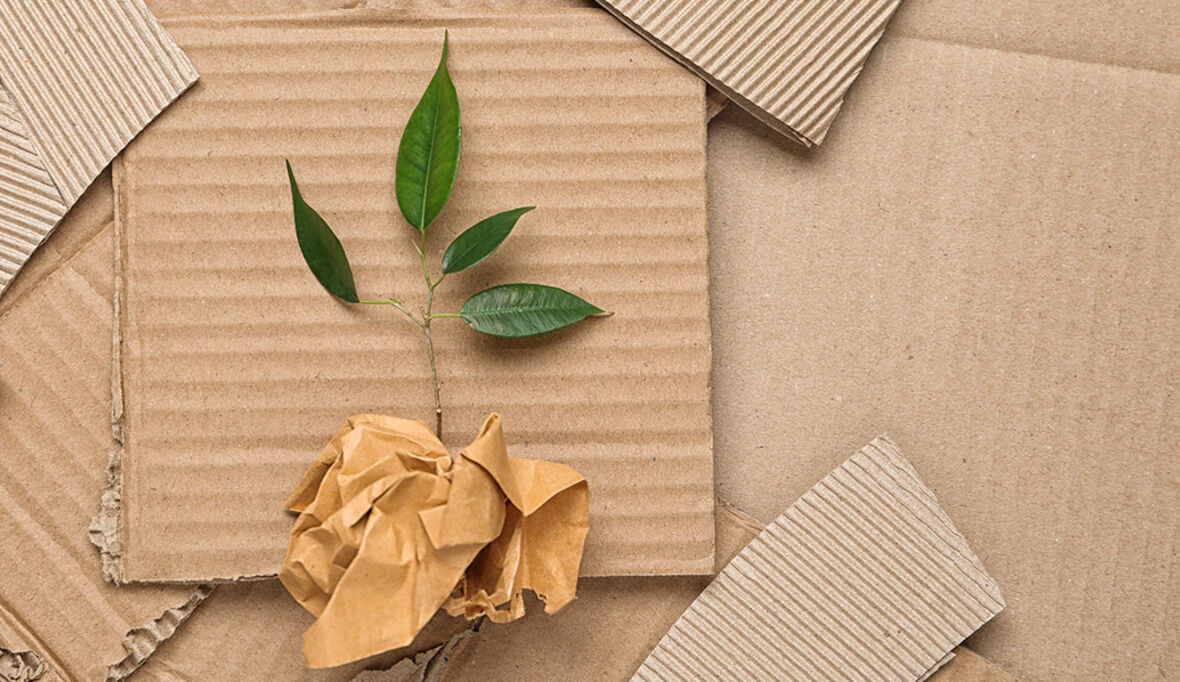 Wie Recyclingpapier zum Schutz von Land- und Menschenrechten beiträgt