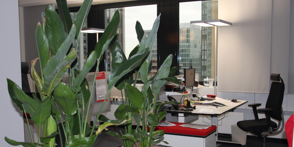 Grenzwerte – wichtig für die Reduktion von Schadstoffen im Alltag und Beruf