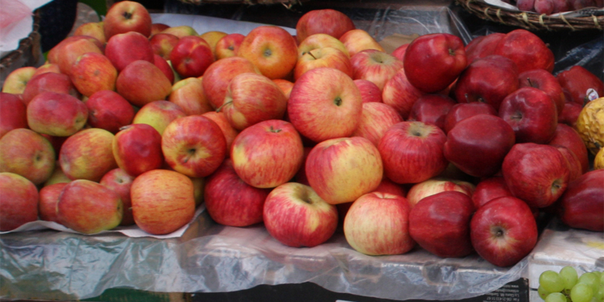 Obstbauern präsentieren „Sustain Apple“-Strategie 