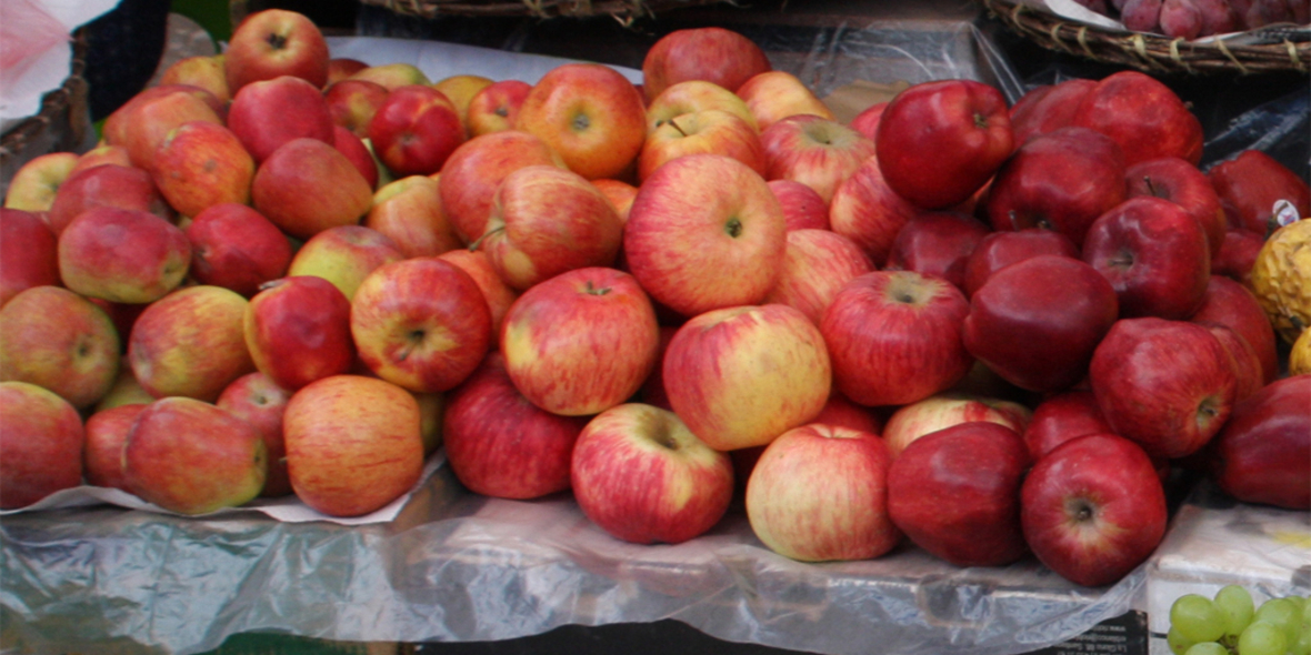 Schönheitswahn und Einheitspreise im Obst- und Gemüseregal