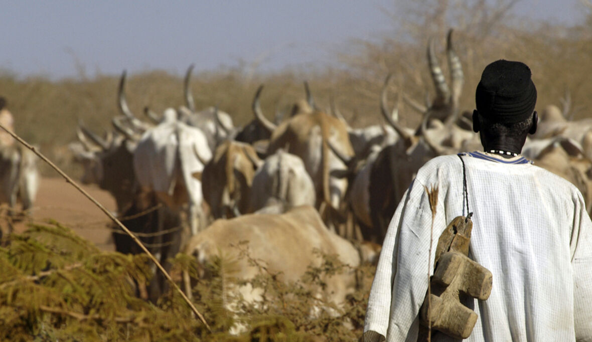 Dürrekrise in Somalia, Kenia und Äthiopien: Millionen Menschen betroffen