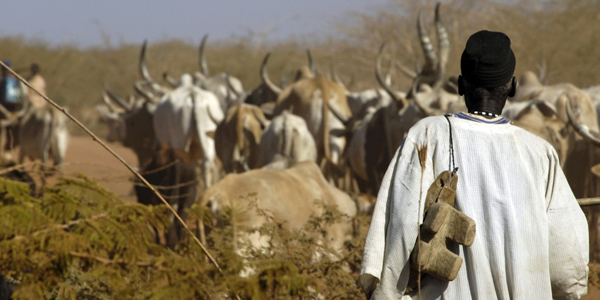 Weltbank setzt Schutz von Ureinwohnern in Afrika aus