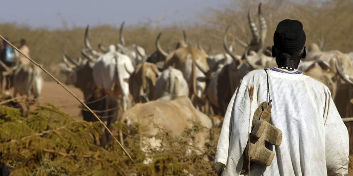Das Milchpulver ist zu billig 