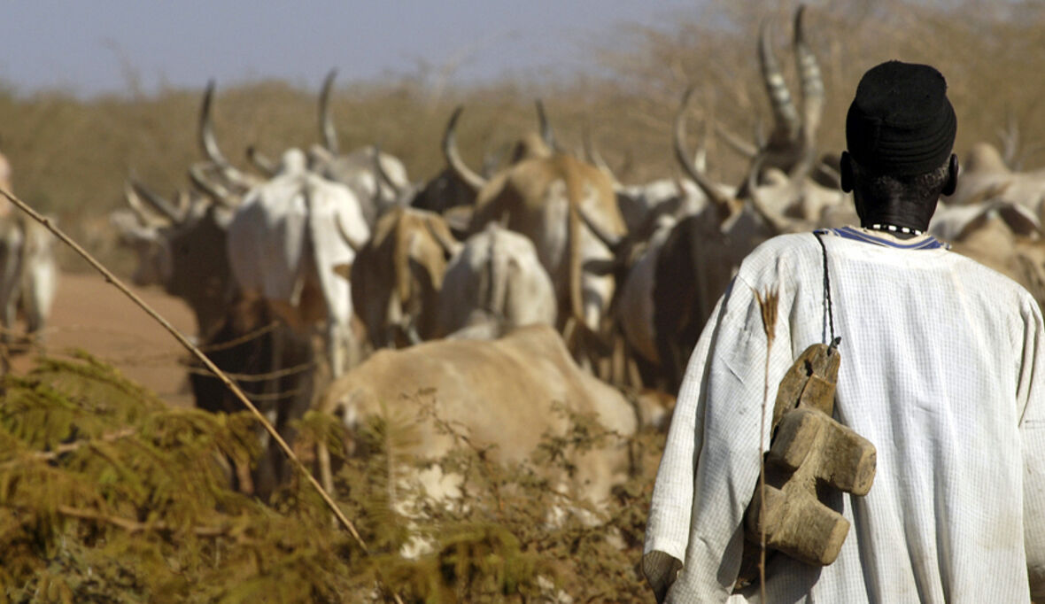 Weltbank setzt Schutz von Ureinwohnern in Afrika aus