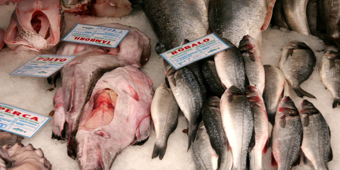 Fischkauf: Deutsche Verbraucher fordern mehr Nachhaltigkeit 