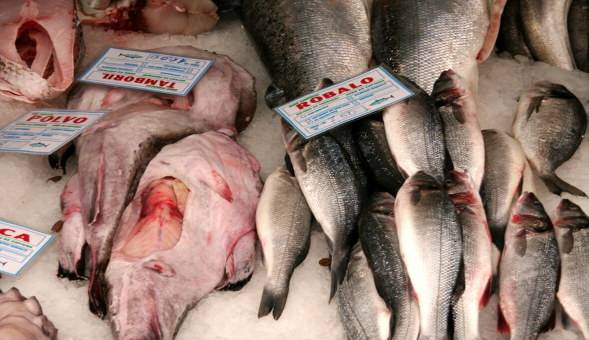 Fischkauf: Deutsche Verbraucher fordern mehr Nachhaltigkeit 