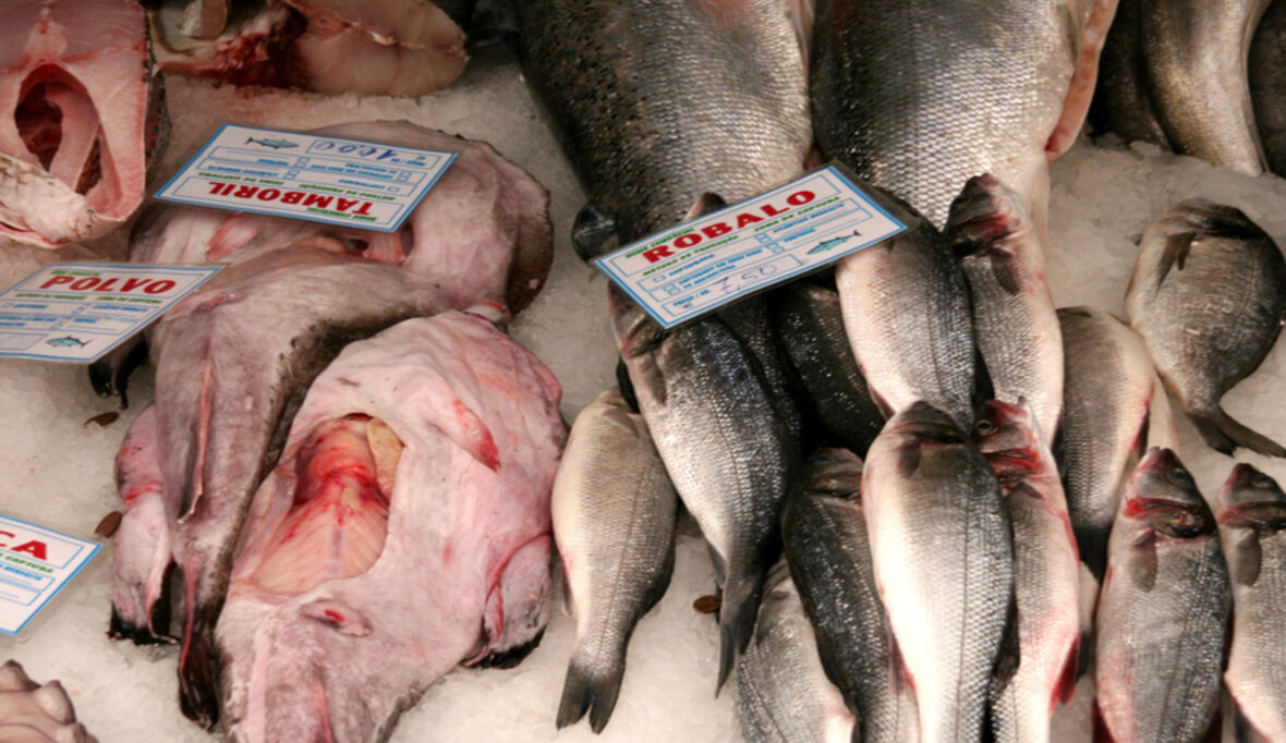 Fehlerhafte Etiketten bei Fisch