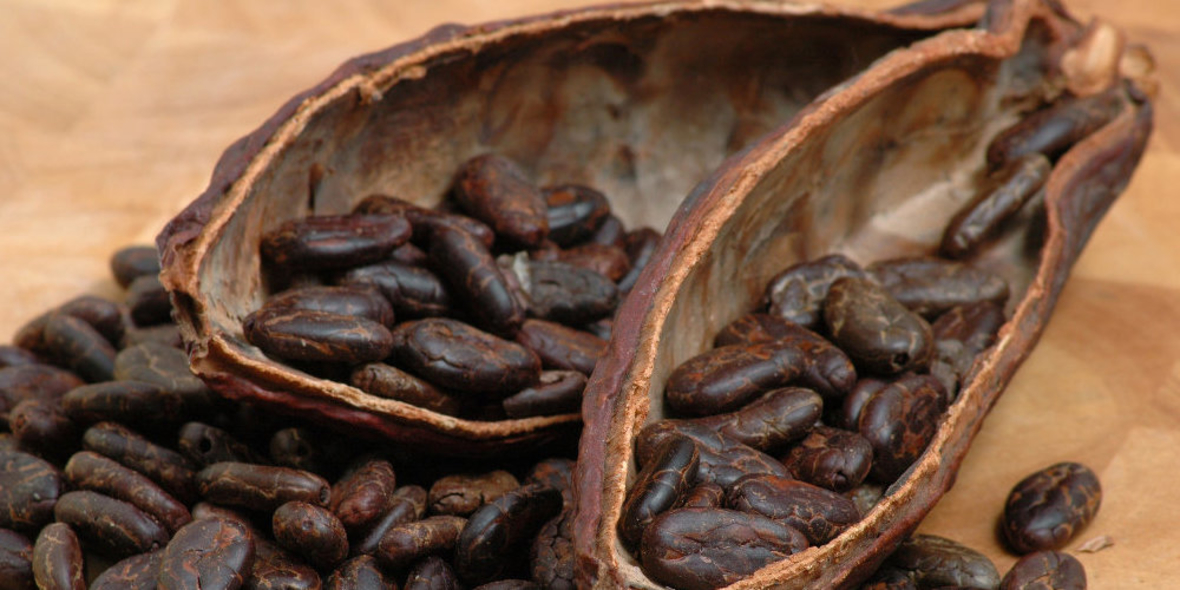 Wie kann Nachhaltigkeit im Kakaosektor erreicht werden?
