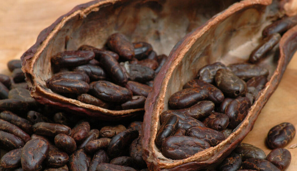 Nachhaltige Beschaffung oft nur sehr begrenzt 