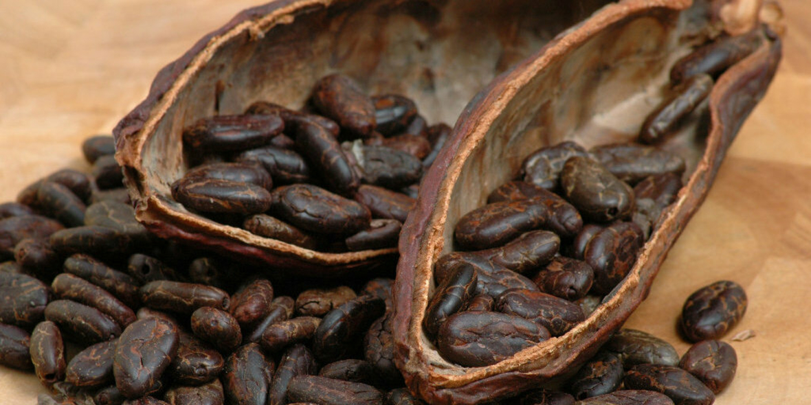 Schluss mit der Schönfärberei im Kakaosektor!