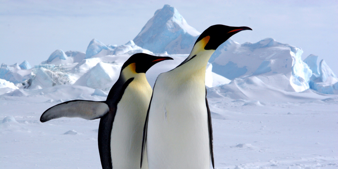 Die Antarktis nähert sich mehreren Kipppunkten