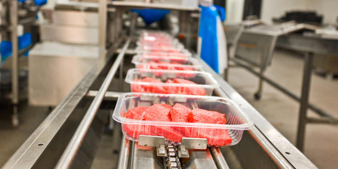 Richard David Precht: Kunstfleisch wird sich durchsetzen 