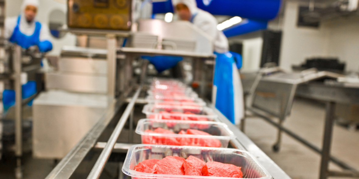 Fleischatlas 2016: Weniger Bauernhöfe, mehr Fleisch