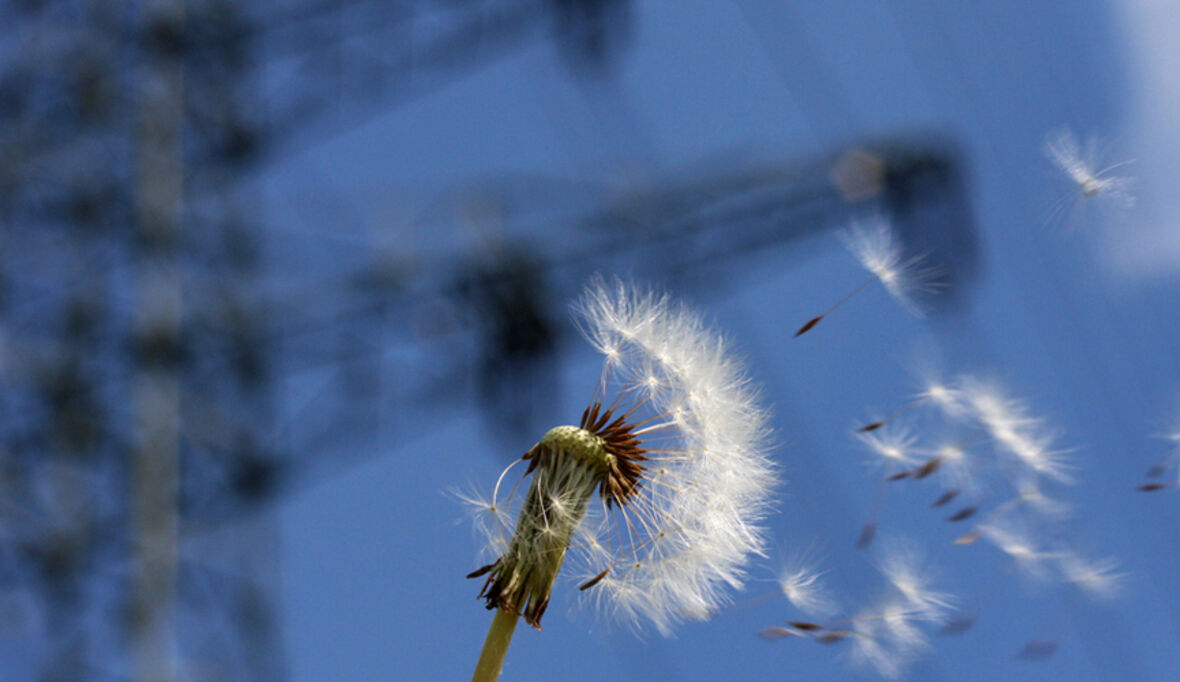 Nationale CO2-Abgabe: Germanwatch erhält Kampagnenbudget