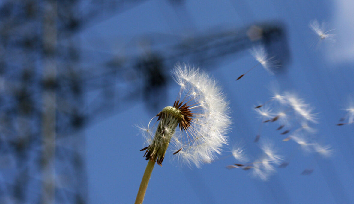 Energiewende verliert an Tempo: Experten fordern entschlossenes Handeln
