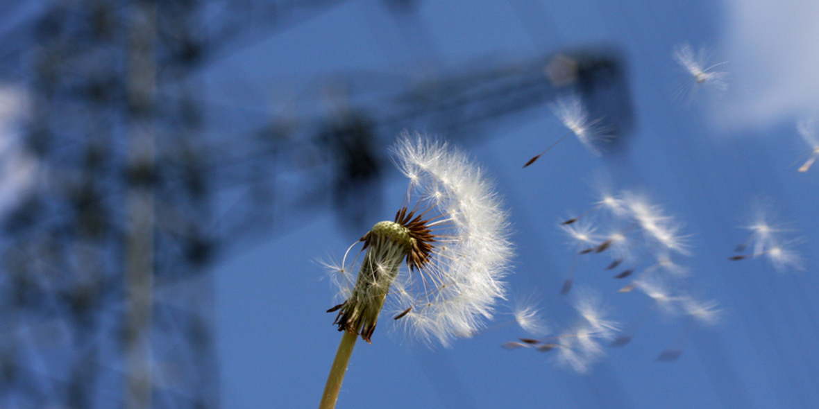 NABU: Verschärfte Kriterien für naturverträgliche Energiewende