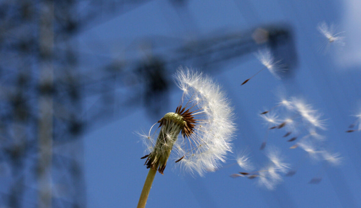 Lidl verkauft Ökostrom von E.ON