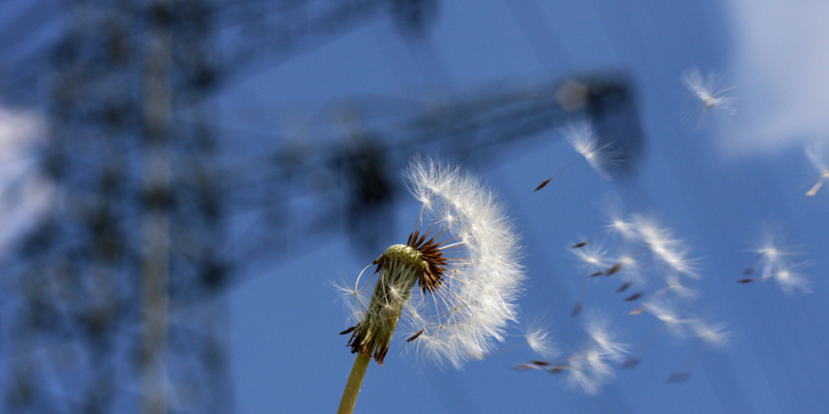 Mit Energiespeichern zu einer günstigeren Energiewende?