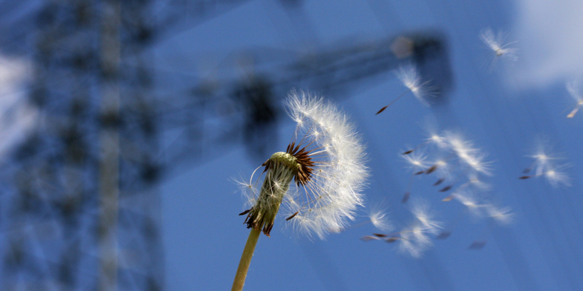 Energiewende verliert an Tempo: Experten fordern entschlossenes Handeln