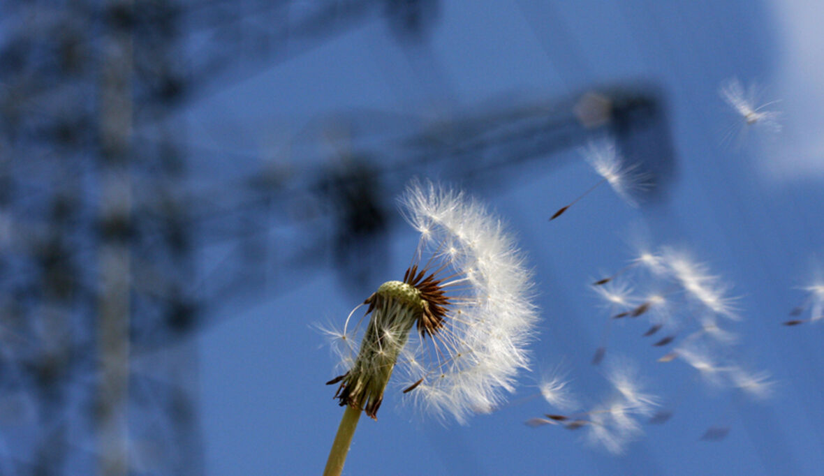 Mit Energiespeichern zu einer günstigeren Energiewende?